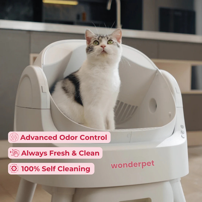 WonderLoo™ - The Self Cleaning Cat Litter Box