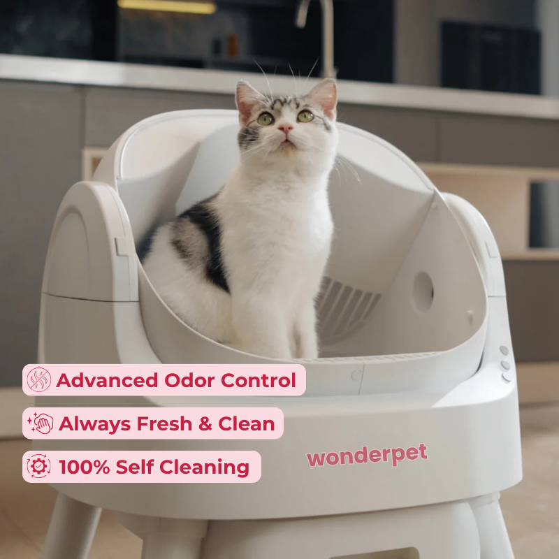 WonderLoo™ - The Self Cleaning Cat Litter Box
