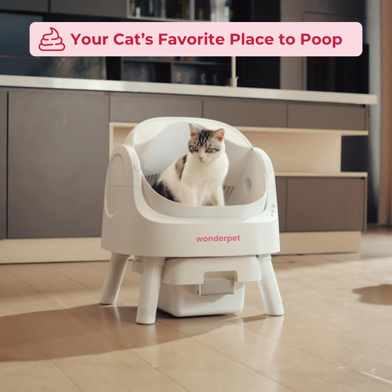 WonderLoo™ - The Self Cleaning Cat Litter Box