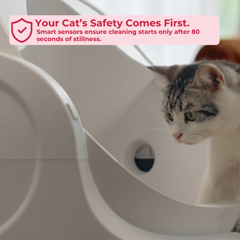WonderLoo™ - The Self Cleaning Cat Litter Box