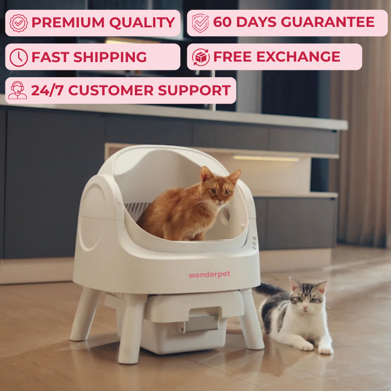 WonderLoo™ - The Self Cleaning Cat Litter Box