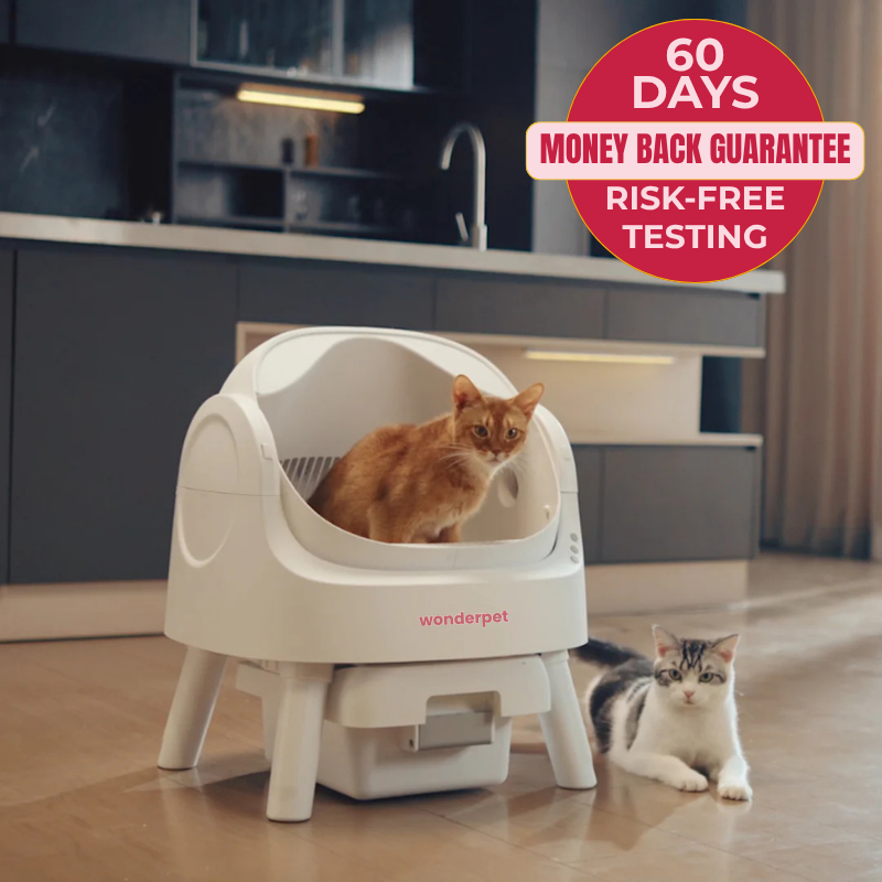 WonderLoo™ - The Self Cleaning Cat Litter Box