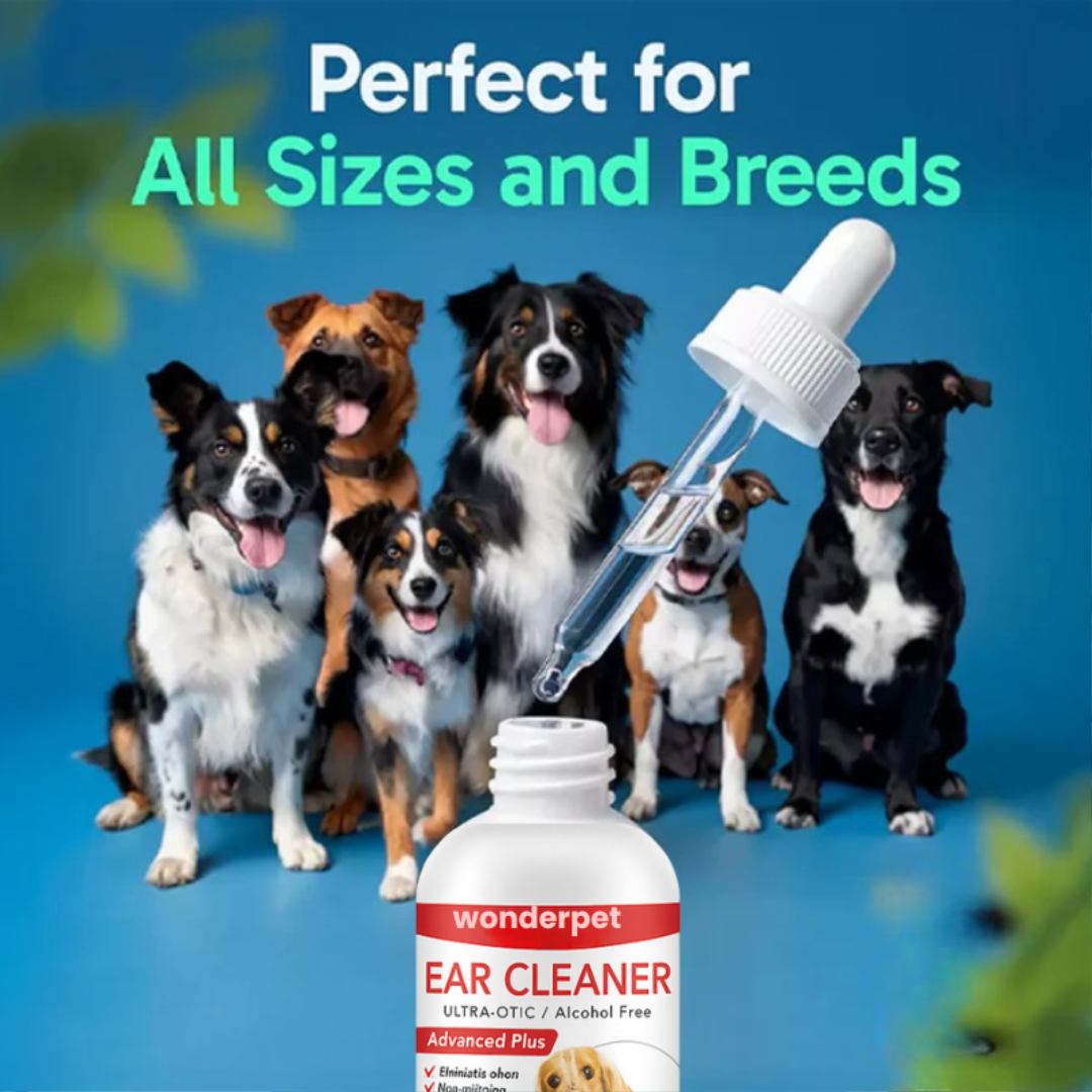 Wonderpet - EarCleaner 1 Pcs