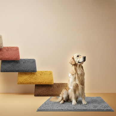 Reclaim Your Space, Embrace Pet Happiness