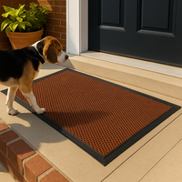 MudGuard™ - The Best Dog Outdoor Mat for Muddy Paws