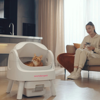 Reclaim Your Space, Embrace Cat Happiness