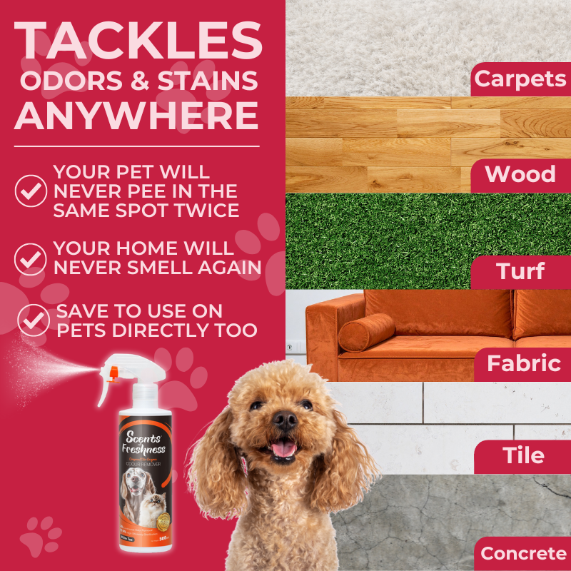 Wonderpet - Natural Pet Odor Eliminator